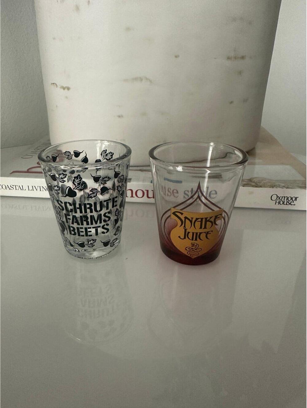 The Office & Parks and Rec. Shot Glasses (2)